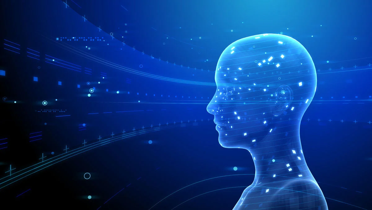 Predictive and Descriptive Modelling